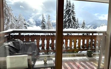 Appartement - image - 11