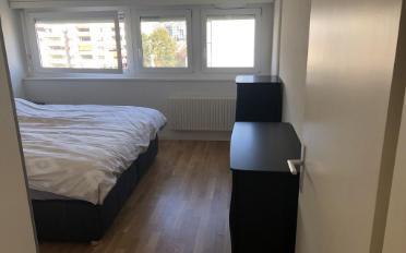 Wohnung 3.5 Zimmer - image - 4