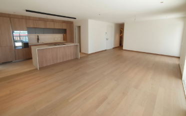 Terrace flat 4.5 rooms - image - 4