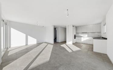 Villa 5.5 pièces - image - 4