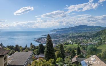 Doppeleinfamilienhaus 5.5 Zimmer - image - 2