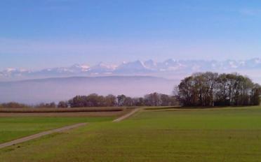 Villa 5.5 pièces - image - 6