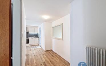 Attikawohnung 2.5 Zimmer - image - 3