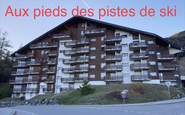 Wohnung 2.5 Zimmer - image - 1