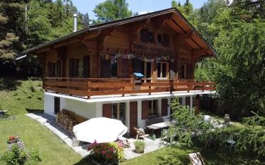 Chalet 7 Zimmer - image - 1