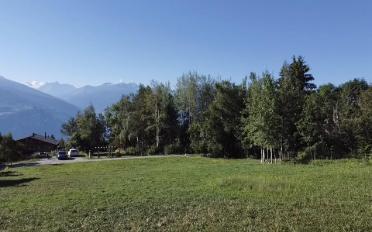 Building land - image - 7