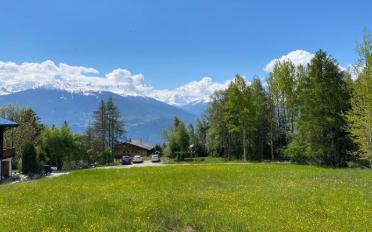 Building land - image - 1