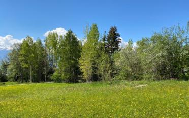 Building land - image - 2