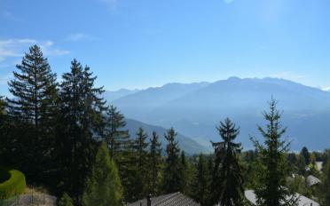 Chalet 4.5 Zimmer - image - 3