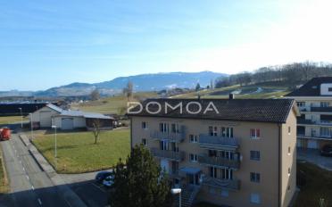 Wohnung 3.5 Zimmer - image - 9