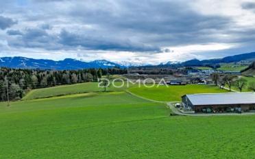 Bauland 5.5 Zimmer - image - 3