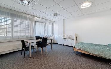 Wohnung 7.5 Zimmer - image - 4