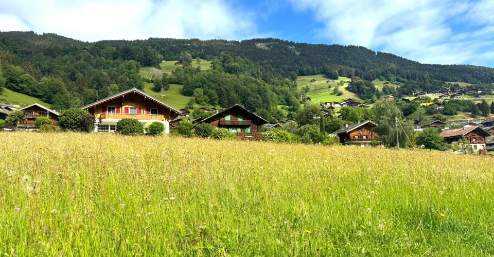 Terrain à bâtir de 972 m² à Val-d'Illiez