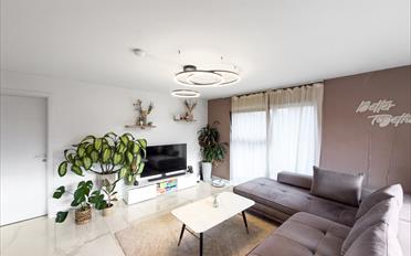 Appartement 3.5 pièces - image - 2