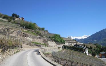 Terrace flat 3.5 rooms - image - 1