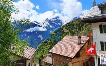 Appartement 3.5 pièces - image - 1