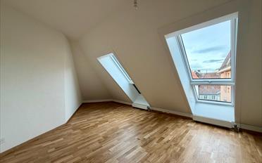 Appartement 4.5 pièces - image - 7