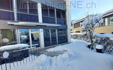 Bifamiliar house - image - 1