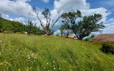 Farm house - image - 6