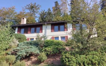 Einfamilienhaus - image - 3