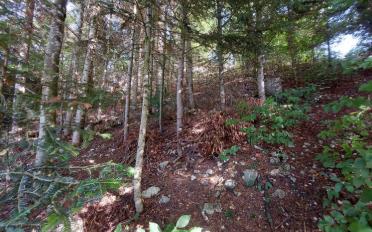 Einfamilienhaus - image - 8