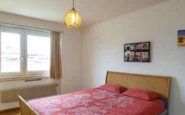 Apartment - image - 4
