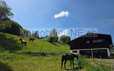 Bauland - image - 1