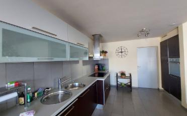 Einfamilienhaus - image - 7