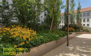 Apartment 3.5 rooms - image - 7