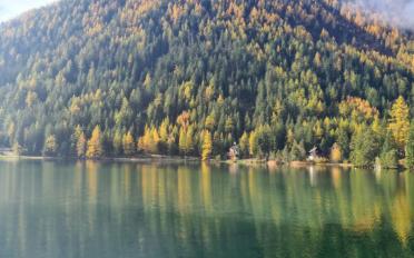 Apartment 3.5 rooms - image - 2