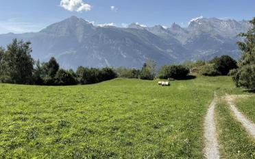 Chalet 4.5 rooms - image - 10