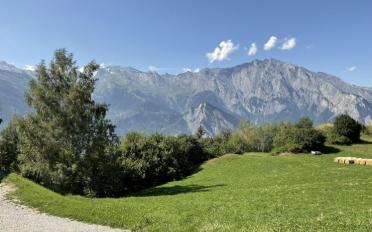 Chalet 4.5 rooms - image - 5