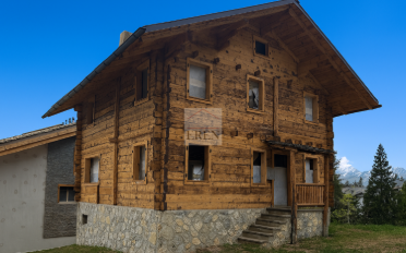 Duplex 5 Zimmer - image - 12