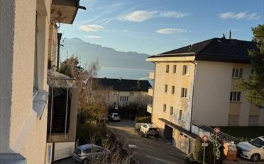 Wohnung ein Zimmer - image - 1