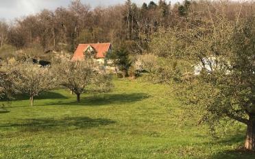 Single house 6 rooms - image - 9