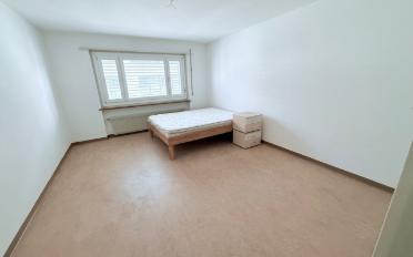 Wohnung ein Zimmer - image - 2