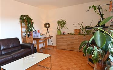 Wohnung 3.5 Zimmer - image - 1
