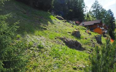 Terrain à bâtir - image - 11