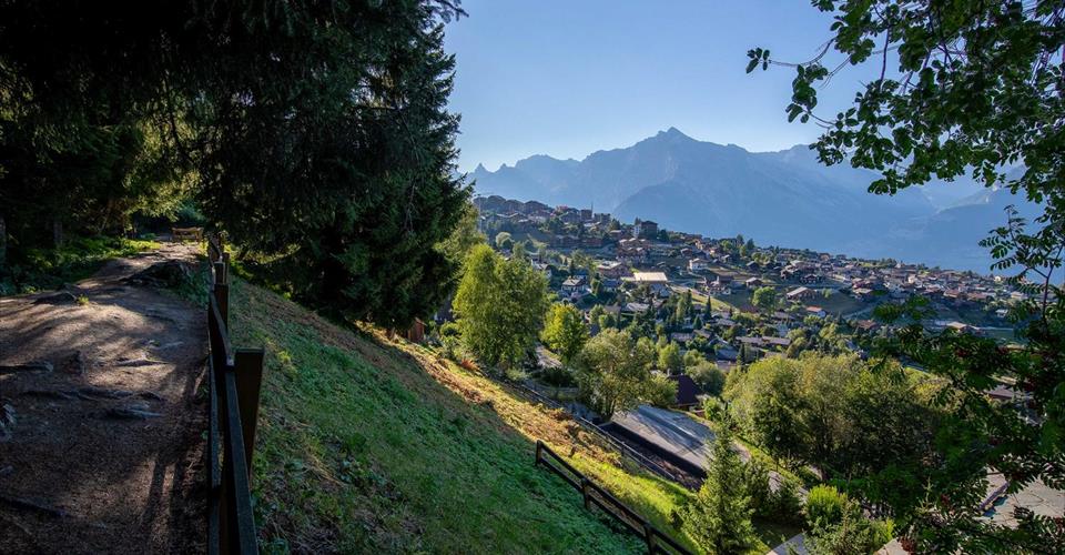 Terrain constructible, libre de mandat à côté du Bisse