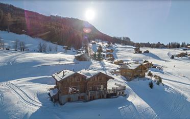 Chalet 9 rooms - image - 2