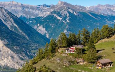 Chalet 6.5 pièces - image - 1