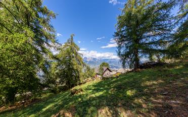 Chalet 8.5 rooms - image - 1