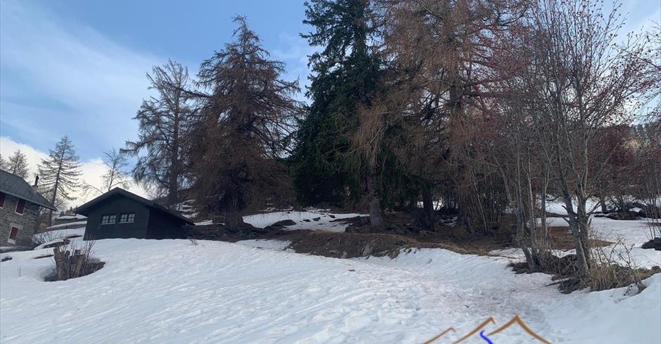 Haute-Nendaz