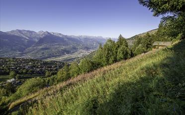 Terrain à bâtir - image - 7