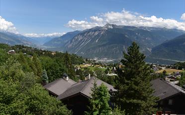 Chalet 9.5 pièces - image - 12