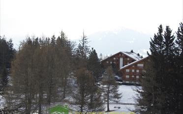 Wohnung - image - 5