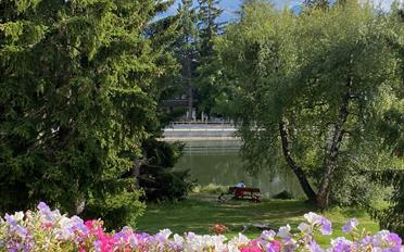 Wohnung 3.5 Zimmer - image - 11