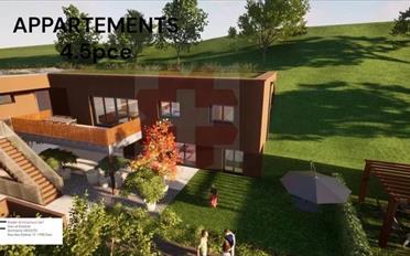 Apartment 2.5 rooms - image - 4