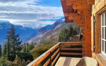 Chalet 7 rooms - image - 11