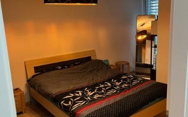 Wohnung 2.5 Zimmer - image - 5